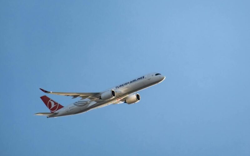 Transporte aéreo: optimiza tus envíos en Panamá